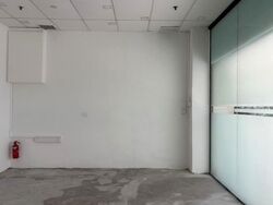 Lucky Plaza (D9), Shop House #630090291